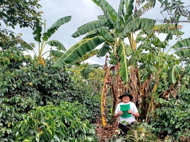 グアテマラ Co-NECT PROJECT アンティグア サンフランシスコ農園